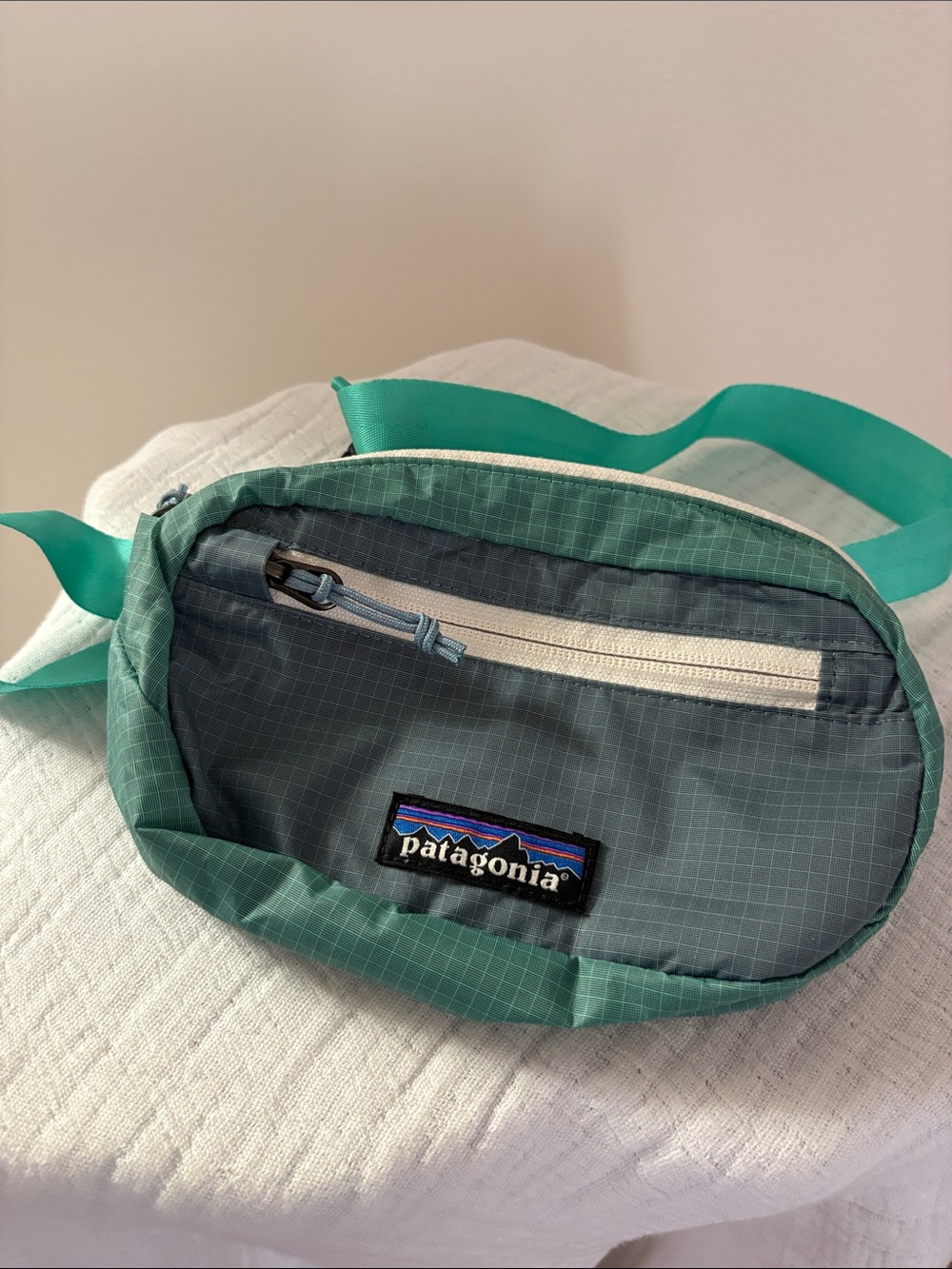 Patagonia Teal and Gray Crossbody Waist Pack